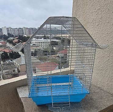 Qəfəslər: Quş qəfəsi – metal karkaslı, mavi plastik altlıqla - Material: möhkəm — 3