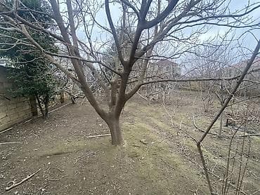 torpaqlarin satisi: Tikinti — 7