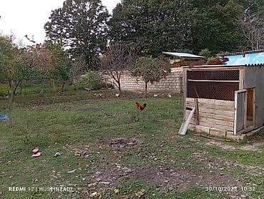 Продажа домов: 3 комнаты, 120 м², Средний ремонт — 4