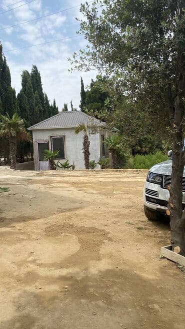 tendirxana icareye verilir 2025: Sabunçu rayonu aeroport yoluna yaxın 30sot geniş həyəti olan 800 kv.m — 19