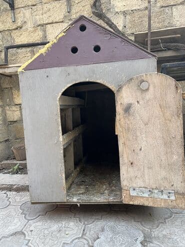 Gəmiricilər: Salam hər kəsə möhkəm materialla yiğilmiş tam əla vəziyyətdə yuva — 3