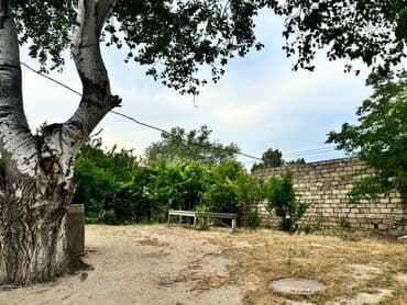 дачи в аренду посуточно: Баку, Пос. Паршаги, 100 м², 6 комнат — 3