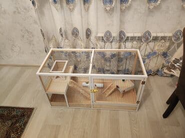 ag dovsan: Dovşan,hamster,şinşila,bildirçin,cücə,xamyak,pişik,quş ve s kimi ev — 6