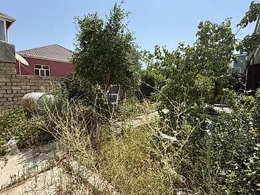 Heyet satilir 1 sotdan coxdur ev tikib 3/4 masinlig yerde qalir Qanuni