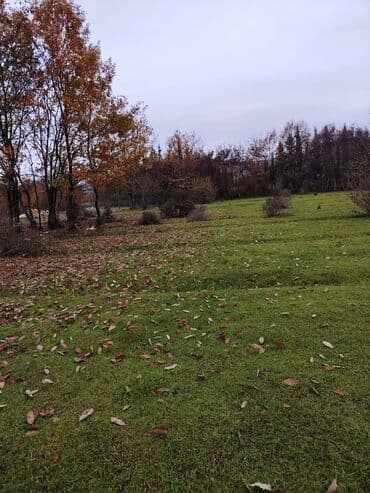 аренда земельных участков сельскохозяйственного назначения: Kənd təsərrüfatı — 2