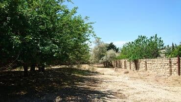 bir sot torpaq nece metrdir: 25 sot, Tikinti, Makler, Kupça (Çıxarış) — 10