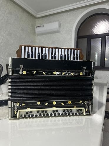 akkardeon: Akustik Akkordeon — 5