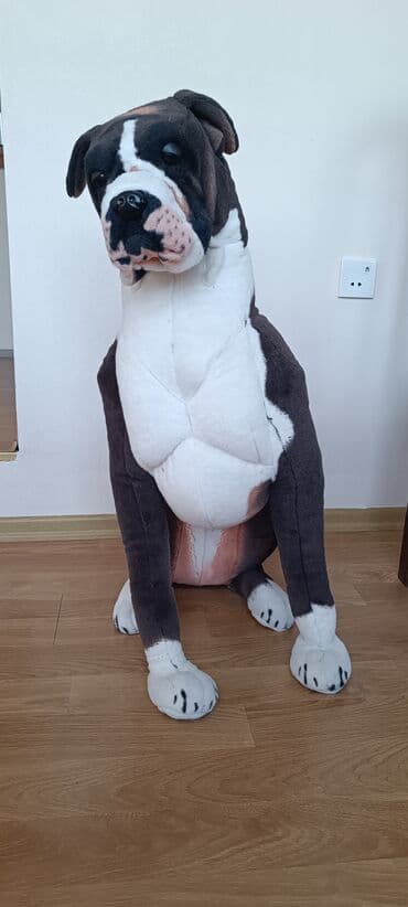 заказать поп ит в баку: Satilir — 1