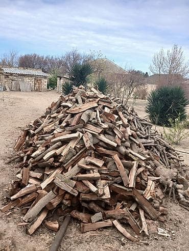 odun satılır: Odun – soba, kamin, manqal və samovar üçün - Quru halda doğranmış və — 2