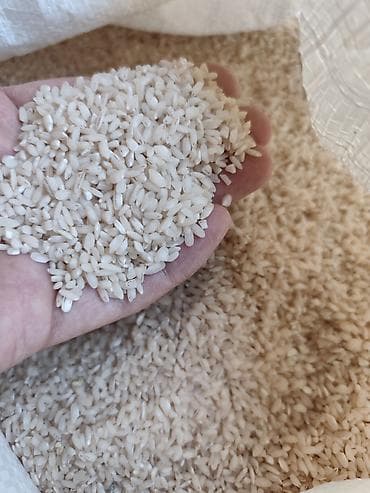 Ağ düyü – qısa dənəli, cilalanmış bicar düyüsü