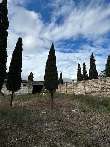 zirede torpaq: 24 sot, Tikinti, Mülkiyyətçi, Kupça (Çıxarış) — 7