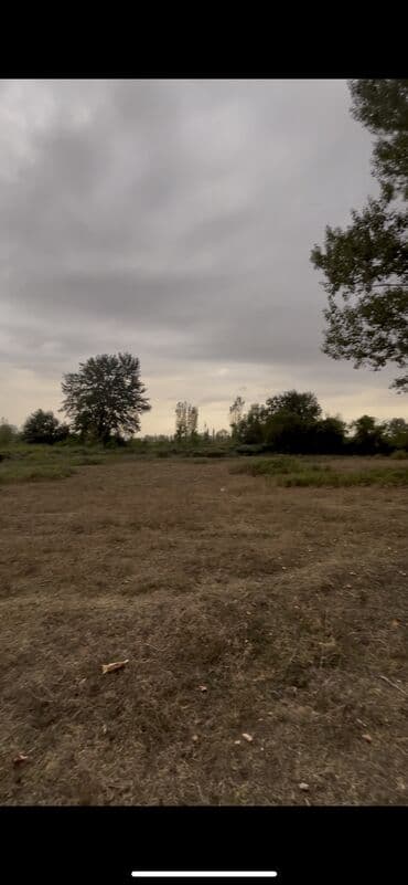 fatmayı torpaq: 10 sot, Kupça (Çıxarış) — 5