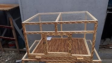 cane corso qiyməti: Teze tixilma boyuk olculerde qefesler.alti setka ustu padnoslu ve — 2