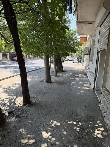 7ci Mikrorayonda Bərbər kreslo icarəyə verilir yol kənarı gediş — 5