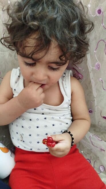 Təlim, kurslar: Uşaq baxımı xidməti öz evimdə azəri və rus dilli uşaqlara — 8