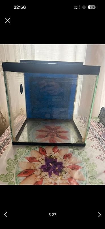 Akvaryum – işlenmis 2 edetdi biri 15 Azn biride 30 Azn 2 sini bir — 2