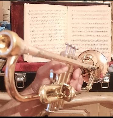 Məhsul: B-rəngli truba (boru) Təsvir: - Parlaq qızılı örtüklü klassik