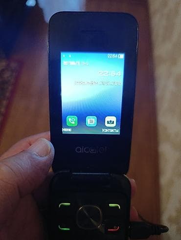 mini notebook computer: Alcatel OT-206, 4 GB, rəng - Gümüşü, Düyməli — 7