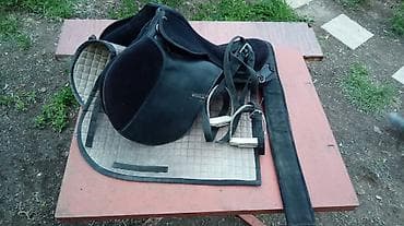 cucə və xoruz təmsil: Atçılıq dəsti – STATUS markalı eyer və aksesuarları - Tip — 1