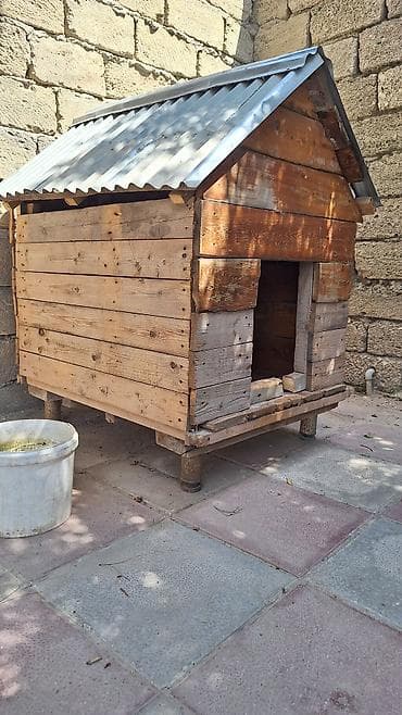 Heyvanlar üçün mallar: Taxta it evi - Material: qalın taxta lövhələrdən yığılıb, iç və dış — 2