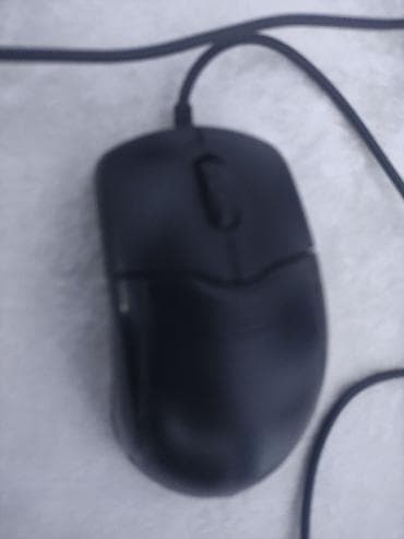 HP: İşlənmiş HP 15.6 ", Intel Core i5, 256 GB — 3