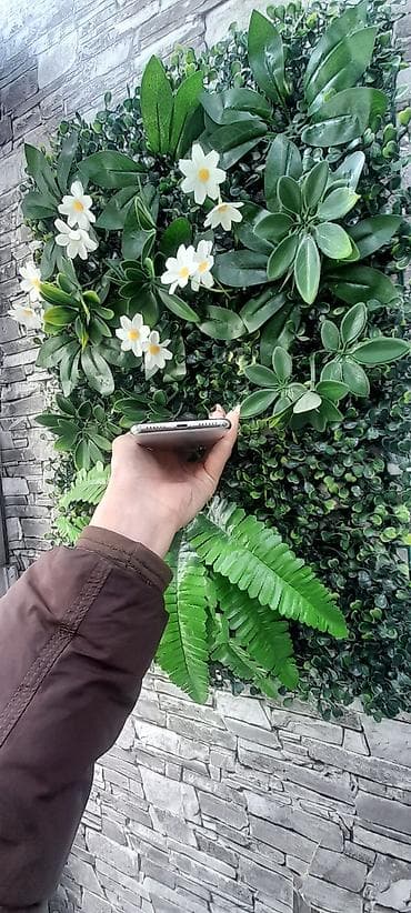 ucuz ayfon telefon: IPhone X, 64 GB, Gümüşü, Kredit, Face ID — 4