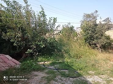 ismayıllıda: 5 otaqlı, 120 kv. m, Kredit yoxdur, Yeni təmirli — 8