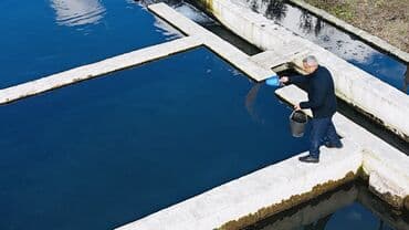 xacmazda torpaq qiymetleri: Təcili satılır. Real alıcı ilə razılaşmaq olar. Xaçmaz rayonu — 2