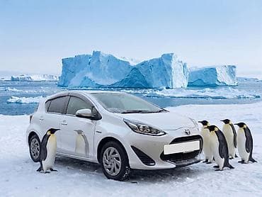 man sat: Toyota Aqua: 1.5 l | 2019 il Hetçbek — 5