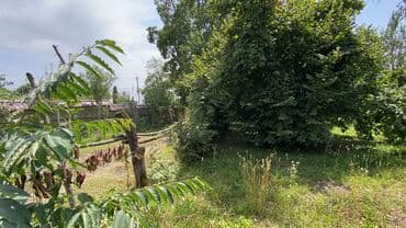 ələt qəsəbəsi: Tikinti — 18