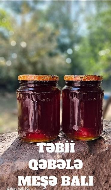 temiz bal: TƏBİİ MEŞƏ BALI SALAM ALEYKUM. ALLAHA HƏMD OLSUN TƏBİİ VƏ QATQISIZ — 4