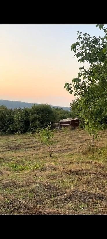 əmlak satışı: 68 sot, Kənd təsərrüfatı, Mülkiyyətçi, Kupça (Çıxarış) — 6
