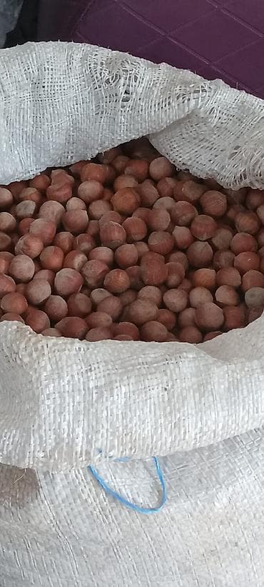 Ləpələr: Məhsul: Təbii fındıq (qabıqlı) Təsvir: - Yerli bağdan yığılmış — 6