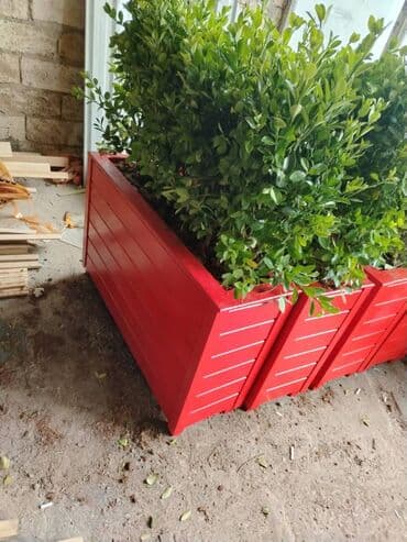 dipçək: 100x35x35 olan dipcəkler Gulun hundurluyu 60-70sm Torfu və əkilməsi — 6