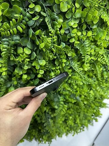 IPhone Xr, 128 ГБ, Черный — 5