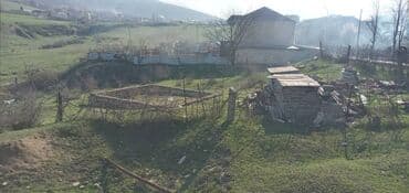 kirayə evlər 2024 bakı: 8 sot, Kupça (Çıxarış) — 2