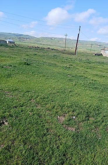 turkan torpaq: 12 sot, Kənd təsərrüfatı, Kupça (Çıxarış) — 2