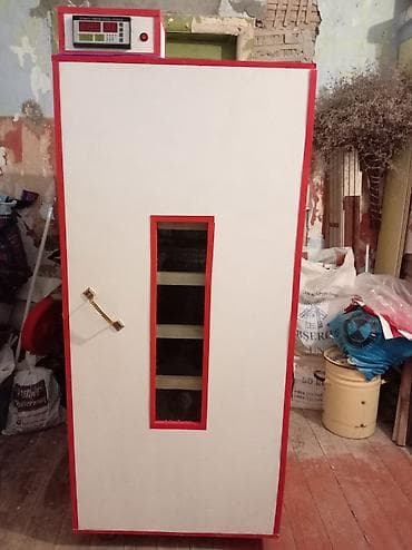 Другие животные: İnkubator 1000 yumurtalıq zakasla yigilir çıxış faizi 85-90 fayizi — 1