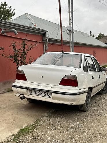 kokəltmə yemi: Ağ rəngli iki göyərçin cütü - Növ: ev göyərçini (ağ rəngli, biri — 6