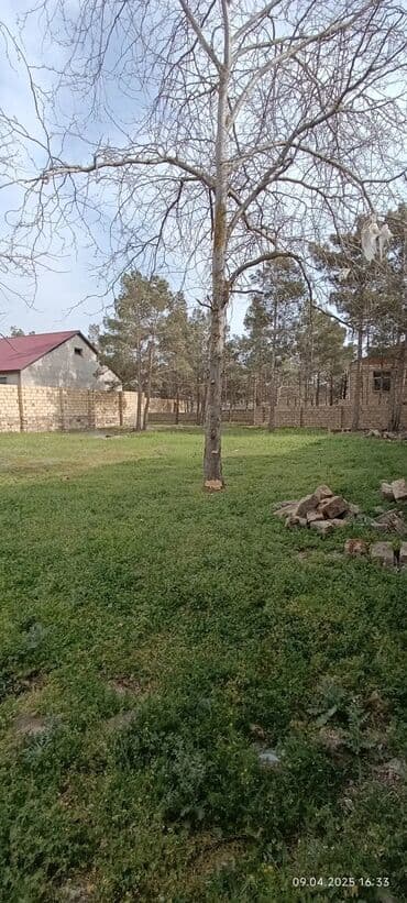 sumqayıt kirayə evlər 2023: 6 sot, Tikinti, Mülkiyyətçi, Kupça (Çıxarış) — 3