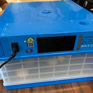 qirqovul satilir: Çin, Fabrik istehsalı, Tam avtomat, Bütün növ quşlaq üçün — 1