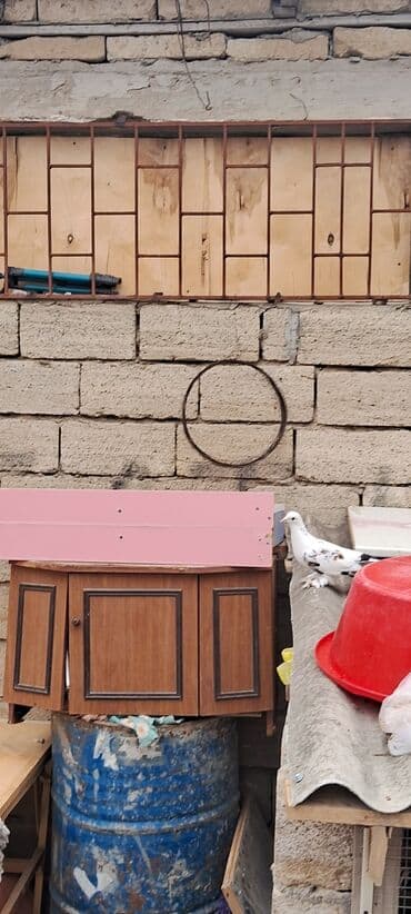 geref qusu rus dilinde: Salam olsun her bir kese bele bir göyercin var 13 ededdir hamsıda — 4