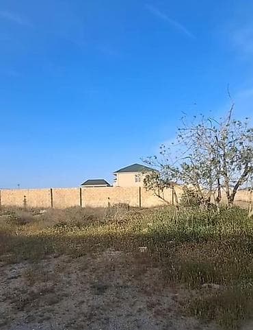 2 sot, Tikinti, Mülkiyyətçi, Kupça (Çıxarış)