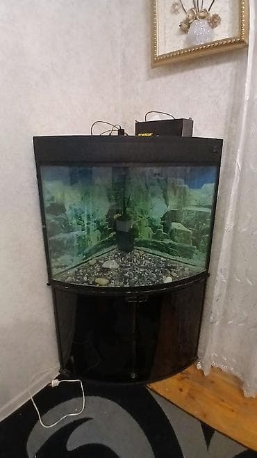 akva ayaqabılar: Künc tipli akvarium və şkaf komplekti - Forma: radius ön şüşəli künc — 1