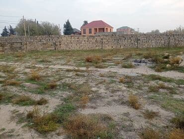 ismayilli torpaq satilir: 4 sot, Tikinti, Makler, Kupça (Çıxarış) — 3