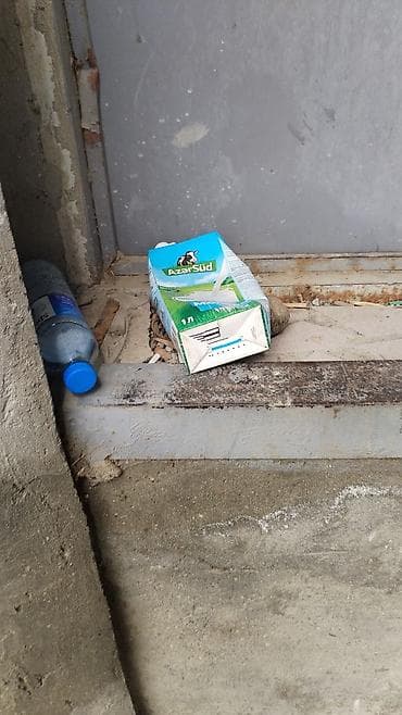it cinsleri ve qiymetleri: Lənkəran şəhəri Trasdaki BRAVO market ilə Perla mebelin arası Köhnə — 3