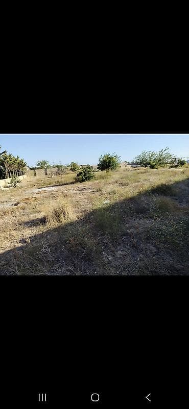 lepe: Kənd təsərrüfatı, Kupça (Çıxarış) — 6