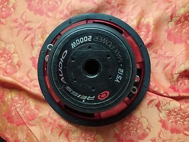 Reiss Audio YS12 subwoofer - Model: Reiss Audio YS12 - Tip: 12