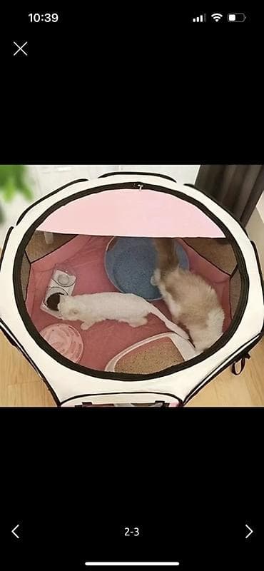 heyvan sekisleri: Qatlana bilən ev heyvanları üçün oyun/ehtiyat çadırı – mesh panellərlə — 2