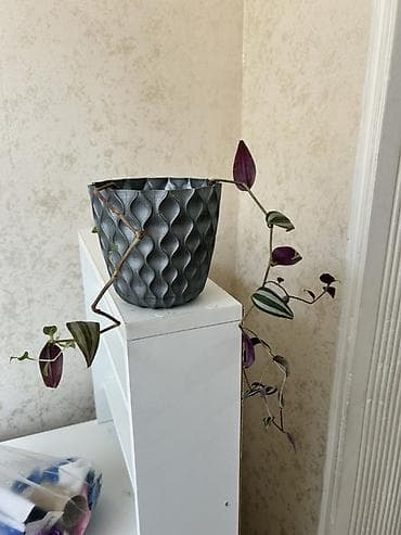 otaq gullerinin adlari: Otaq bitkiləri kolleksiyası – dekorativ saksılarla - Chamaedorea — 6